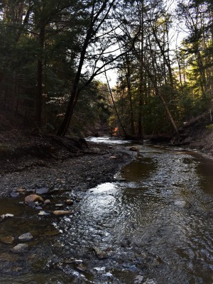 Wineding creek